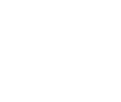 Adkins Entertainment Logo