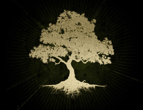 Brother Cane ft. Johnny Van Zant and Rickey Medlocke Honor Gary Rossington with “Prince Charming”